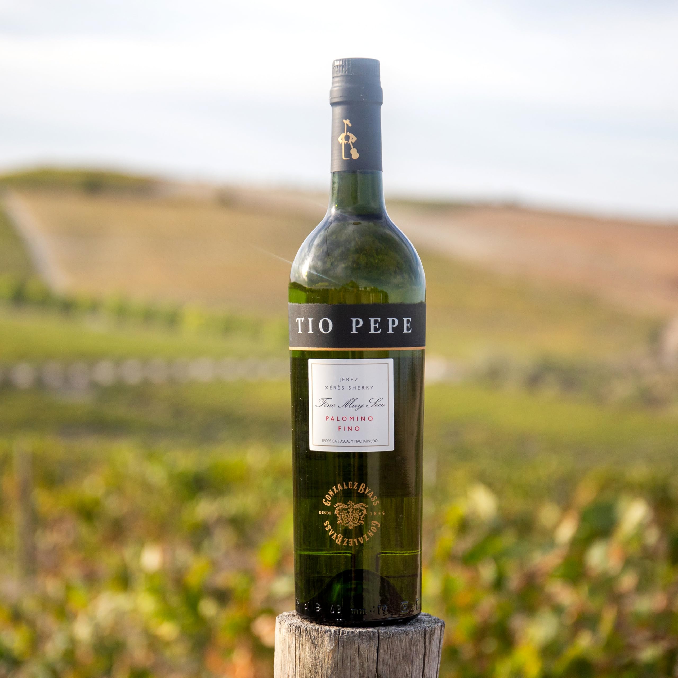 1/2 botella Tio Pepe